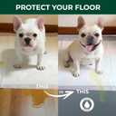 FXW Ultra Waterproof Pet Floor Protector Mat & Under Dog Crate Mat, Resistant & Easy to Clean, for FXW Rollick/Homeplus, 55''L x 31''W