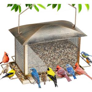 IWNTWY Bird Feeder, 6LB Large Capacity Bird Feeders for Outdoor Hanging