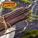Wild Berry Incense Sticks - Dragon's Blood - Exotic Earthy Fragrance with Sandalwood and Musk - Hand Dipped in the USA (100 Count)