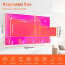 Acrylic Key Holder Wall Mount Mail Organizer for Wall with Shelf Storage Drawer and 5 Hooks, Neon Pink