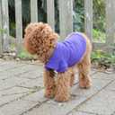 Lovelonglong Basic Dog Polo Shirts Premium Cotton, Polo T-Shirts for Dogs with a Two-Button Collar Blank, Color Purple, XXL
