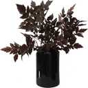 Artificial Cimicifuga Plant Leaf Spray Faux Cimicifuga Stems Artificial Plants Fake Leaves Faux Branchs Fake Leafs Fall Decor Stems for Vases Wedding Garden Holiday Ornaments (3 Pack,21 Inch) (Deep Purplered)