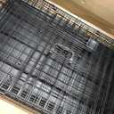 Amazon Basics Portable, Foldable Metal Wire Dog Crate with Removable Tray, Single Door, Divider Panel, Quick Setup, 30 x 19 x 21 in, Black