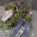 Duovlo Fake Flowers Vintage Artificial Peony Silk Flowers Wedding Home Decoration, Pack of 1 (New Green) (20.87 x 3.5)