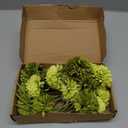 Kimura's Cabin 20Pcs Green Chrysanthemum Artificial Flowers Fake Silk Mums Flower with Stem Balls Flowers for Wedding Bouquets Arrangements St Patricks Day Home Garden Table Centerpieces DIY Decor