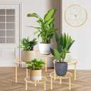 5-piece set of metal plant potted flower racks, heavy-duty flower pot plant racks of different sizes, iron flower racks, suitable for indoor and outdoor home decoration (Black) (5, Gold)