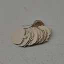 30 Pack 4 Inch Wood Pumpkins Cutouts Unfinished Wood Pumpkins Crafts Wooden Pumpkins Hanging Ornaments DIY Pumpkins Craft Gift Tags for Home Party Decoration Craft Project (Small)