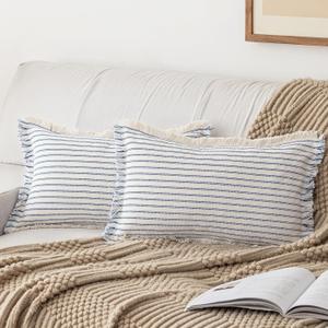 Throw Pillow Covers 12x20 Set of 2 Striped Fringe Pillow Cover Farmhouse Cushion Covers with Tassel Neutral Boho Pillows Decorative Square Pillowcase for Couch Sofa Bed, Blue
