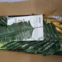 Tropical Party Decorations, 50 Pieces 7 Kinds Artificial Palm Leaves Green and Gold Tropical Monstera Leaves with Stems for Hawaiian Luau Party Jungle Beach Table Leave Decorations