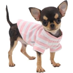 LOPHIPETS 100% Breathable Cotton Striped Dog Tee Shirt T-Shirt for Small Dogs Teacup Chihuahua Yorkie Puppy Clothes -Pink and White Strips/XS LOPHIPETS 100% Breathable Cotton Striped Dog Tee Shirt T-Shirt for Small Dogs Teacup Chihuahua Yorkie Puppy Clothes -Pink and White Strips/XS