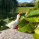 Tiny Garden Goose Fairy Garden Accessories Miniature Figurine Decoration for Micro Landscape Terrarium- 18 pcs Geese