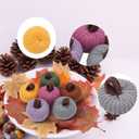 Fall Pumpkin Decor in Door, 6 Colors Mini Knit Pumpkin Set for Thanksgiving Farmhouse Harvest Fall Home Decoration,Fall Gifts for Women Men Coworkers