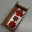 MyGift Assorted Artificial Red Succulent Plants, Mini Fake Desert Plants in White Square Pots, Set of 3