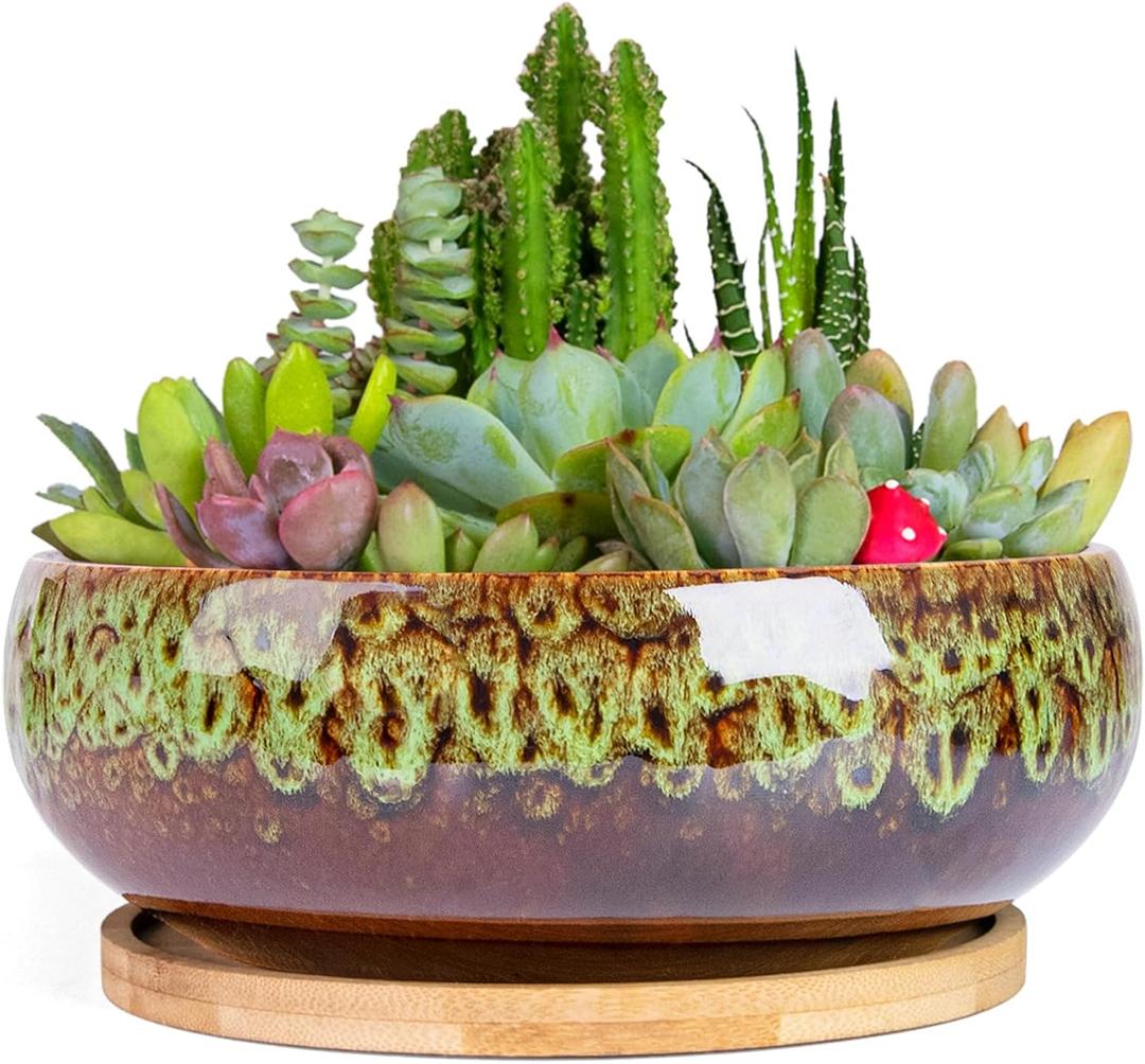 ARTKETTY Succulent Pots - 7.5 Inch Large Plant Pot with Bamboo Tray, Shallow Bonsai Pots with Drainage, Ceramic Planter for Indoor Plants, Cactus, Home Office Desk Decor