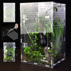Acrylic Jumping Spider Enclosure - Insect Terrarium for Spiders, Mantises, Tarantulas & Frogs (Large)
