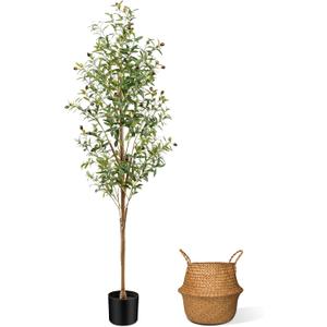 6FT Artificial Olive Tree Indoor, Tall Faux Olive Tree with Pot&Basket, Large Fake Olive Tree with Realistic 1080 Silk Leaves and 60 Fruits for Living Room Home Office Decor (Green)