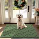 hicorfe Front Door Mat Outside Entrance,32"x40" Absorbent Muddy Dirt Resist Welcome Door Mats Outdoor Indoor,Stain and Fade Resistant,Non Slip Backing Entry Mat Doormat for Entryway(Green) (32x40)
