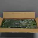 32 Pcs Real Touch Norfolk Pine Branch -18" Artificial Christmas Green Plants Branches Faux Greenery Stem Fake Cedar Pine Picks for Vase DIY Crafts Garland Wreath Xmas Indoor Outdoor Home Decor