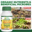 Organic Liquid Plant Food for Indoor Plants & Gardens, Natural NPK Fertilizer w/Beneficial Microbes, Rapid Results, Vegan, Best Value Super Concentrate, Smart Grower, Makes 160 Gallons (32 Fl Oz)