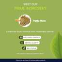 2 x Yerba Mate Capsules - Yerba Mate Complex Supplement for Focus, Memory & Energy Support - Mate Tea Alternative with Natural Caffeine, Portable & Easy to Use - 60 Servings