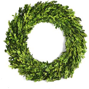 Preserved Boxwood Wreath 16 inches Home Decoration Full Green Indoor Dcor for Halloween, Christmas Wedding All Seasons Home Decor (Wreath, 16")