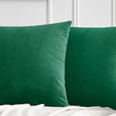 JELLYMONI Velvet Throw Pillow Covers Set of 2, 16 x 16 Inch Emerald Green Decorative Cushion Covers, Soft Square Pillowcases for Sofa, Couch, Bed No Insert Included
