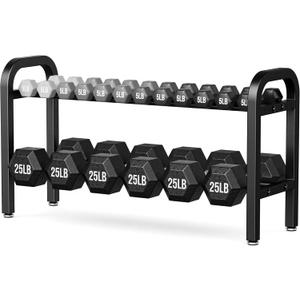 2 Tier Dumbbell Rack, Weight Rack for Home Gym, 300 lb Capacity