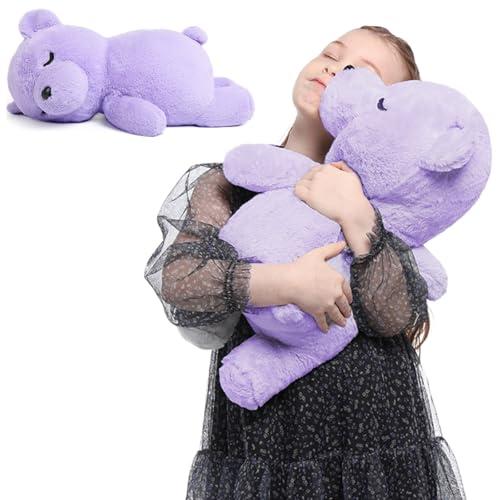 Tezituor 20 inch Big Teddy Bear Stuffed Animals, Large Stuffed Koala Bear Sleeping Plush Toys, Hugging Soft Purple Koala Gift for Boys Girls