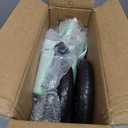 12 Inch Toddler Balance Bike for 1-3 Year Olds, No-Pedal Bike with Tool-Free Adjustable Seat, Quick Assembly, Gift for 1-3 Year Old Boys & Girls with Customizable Plate (KC, Green)