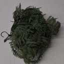 OakRidge Fully Assembled Artificial Fern Hanging Basket Set of 2  Indoor/Outdoor Use  23  L