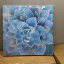 Wall Decor for Bedroom Canvas Artwork Blue-Green Succulents Prints Pictures Wall Art for Living Room Hanging Plants for Bedroom Decor Modern Popular Wall Decorations Blue-Green Flower Size 20x20