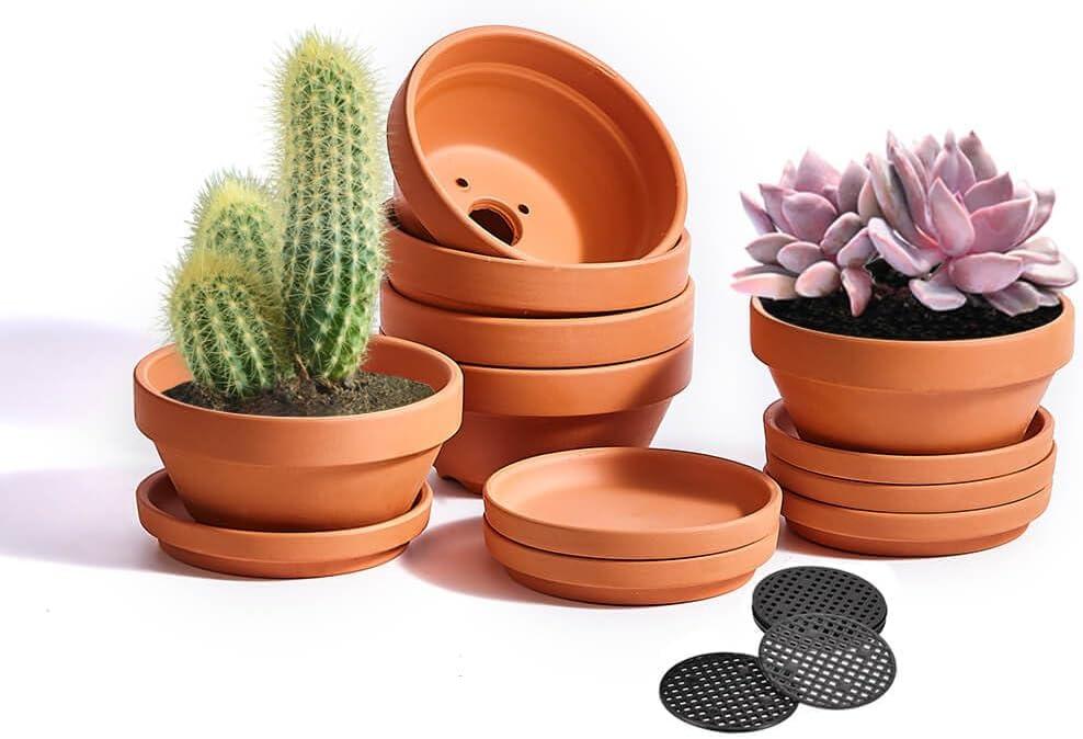 5 Inch Shallow Terracotta Pot for Succulent - 6 Pcs Small Shallow Plant Pots with Drainage Hole and Saucer Mesh Pad, Clay Plant Pottery Pots for Cactus Succulent and Other Indoor Outdoor Plants