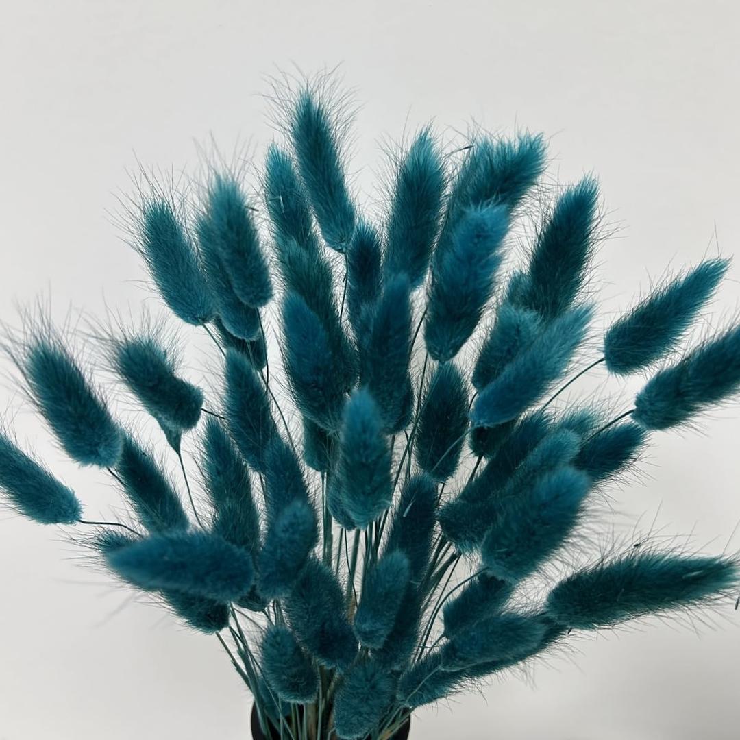 120pcs Bunny Tails Dried Flowers Spring Summer Plant Boho Pampas Grass 17 inch for Home Decor Wedding Bouquet Natural Flower Arrangements (Teal)
