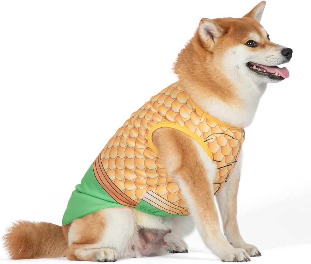 DC Comics Superhero Aquaman Halloween Dog Costume - Officially Licensed Halloween Pet Costumes for Dogs, Size Large (Multicolor)