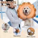 BEAUTYZOO Dog Cone Alternative After Surgery for Dogs, Soft Inflatable Cone Collar for Dogs Cats, Dog Neck Donut E Collar Dog Recovery Collar to Stop Licking, Lion, L