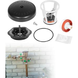 Toolixor RK12-420 Repair Kit Compatible with Zurn Wilkins 1/2" & 3/4" Model 420 and 420XL Pressure Vacuum Breaker (PVB) Complete Maintenance Kit Includes Internal Parts & Canopy