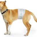 Bestle Male Dog Wrap, Disposable Dog Diapers, 40 Count, L (Waist 23.6-31.5), Wetness Indicator, Ultra Protection, Leak Proof, Super Absorbent, Soft