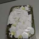 Artificial Phalaenopsis 6 Pcs Artificial Flowers Fake Orchid Flowers Stem Plants with 2 Pcs Leaves for Dcor (White)