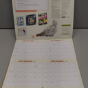 How to Speak Chicken Wall Calendar 2025: A Year of Chickens Doing What They Do and Saying What They Say
