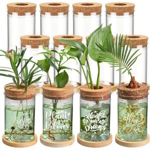 Baderke 12 Packs Plastic Plant Propagation Vase Set Thank You Gift Desktop Plastic Planter Vase with Bamboo Stand for Indoor Plants Office Table Home Decor Mother Teacher Gifts