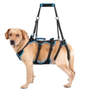 Lafoty Dog Lift Harness for Large Male Dogs, 2-in-1, Back Leg Support & Mobility Assistance for Senior Dogs, Post-Surgery Recovery Sling(Black, Large)