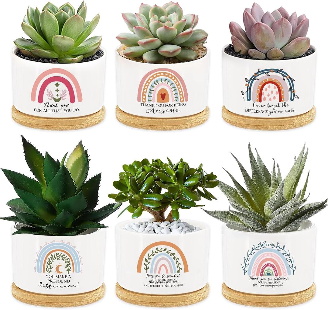 Tarklanda 6Pcs Thank You Teacher Gift Rainbow Succulent Plant Pots Mini Ceramic with Bamboo Tray Flower Pot Planters for Colleague Employee Friend Appreciation Thanksgiving, Plants Not Included