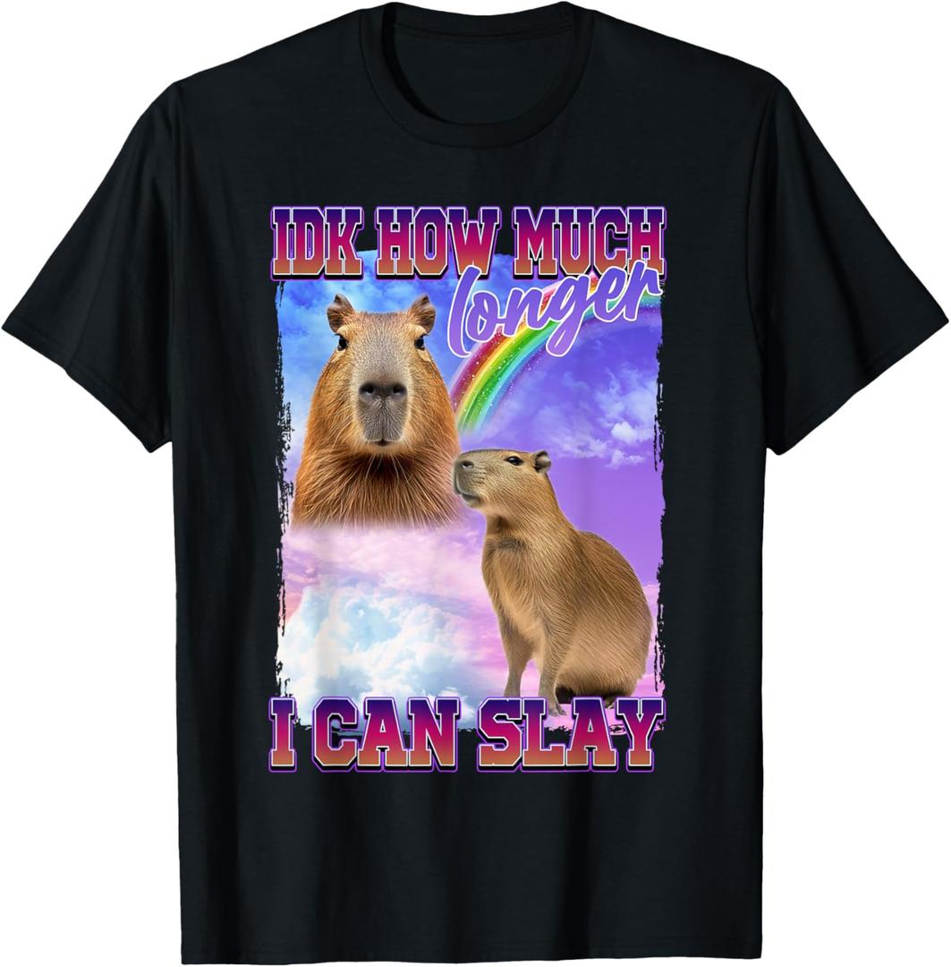 IDK How Much Longer I Can Slay Capybara T-Shirt, Size: M