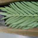 Artificial Palm Tree 6ft Tall Fake Palm Tree Indoor Decor with 18 Trunks and Real Bark Design Faux Tropical Areca Palm Silk Floor Plant in Pot for Home Office Living Room Bedroom Decor 2pcs