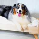 Midlee Raised Wooden Dog Bed Frame- Small