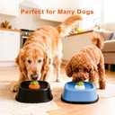 RAINWOOD Liquid Slow Feeder Dog Bowl with Floating Ball, Dog Lick Bowl for Bone Broth, Yogurt & Supplements, Dog Enrichment Slow Feeding Dish for Small Medium Large Breeds (Black)