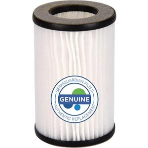 GermGuardian Allergen Replacement Filter for AC085 Portable Personal Air Purifier, Captures Airborne Particles, Dust Mites, Pollens, Debris and Pet Dander, FLT085