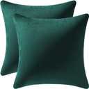 DEZENE Decorative Pillow Covers 16x16 Green: 2 Pack Cozy Soft Velvet Square Throw Pillow Cases for Farmhouse Home Decor