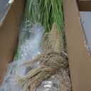Jexine 4 Pcs Pampas Grass Potted Plants 4 ft Tall Artificial Grass Potted Artificial Greenery Floor Plants Tall in Pot for Housewarming Gift House Garden Bathroom Lobby Outdoor Decoration (Greeny)