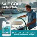 NORTHWEST ENTERPRISES Salt Remover Concentrate, 1 Gallon – for Boats & Cars